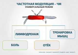 СКЭНАР-1-НТ (исполнение 01)  в Пскове купить Медицинский интернет магазин - denaskardio.ru 