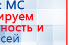 СКЭНАР-1-НТ (исполнение 02.1) Скэнар Про Плюс купить в Пскове, Аппараты Скэнар купить в Пскове, Медицинский интернет магазин - denaskardio.ru